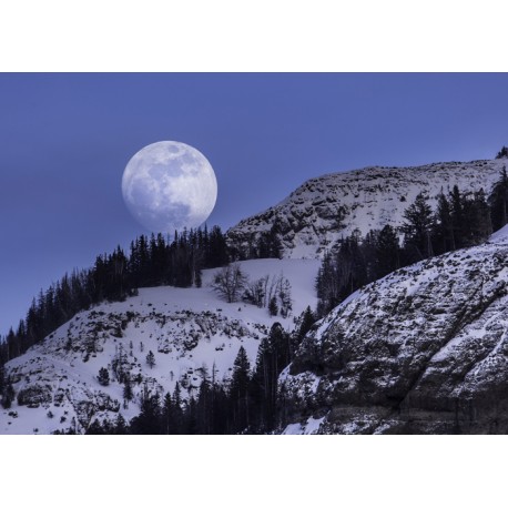 Fotomural luna llena - vinilos decorativos paisajes