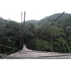 Fotomural puente entre bosque - vinilos decorativos