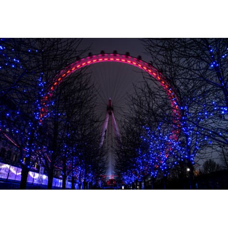 Fotomural London Eye noche