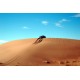 Vinilo fotomural aventura desierto