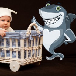 Vinilo infantil tiburón