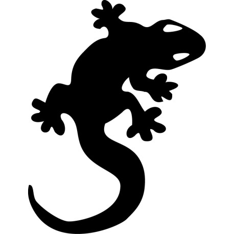 Pegatina salamandra