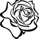 Vinilo flor rosal INVERTIDO