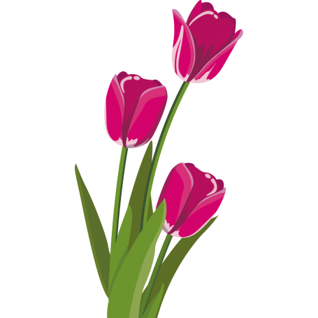 Vinilo decorativo tulipanes