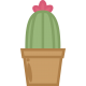 Vinilo decorativo cactus ilustración