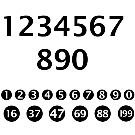 Vinilo impreso personalizado dorsal número coche