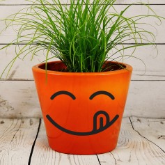 Vinilo cara lengua sonrisa